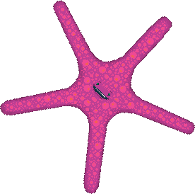 Starfish.PNG