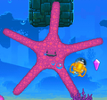 The player trying to escape a starfish