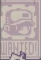 The chimp seen on a "Wanted" poster in the Icebreaker Now has Achievements! video