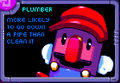 Plumber's description