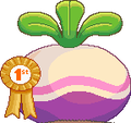 A big turnip as seen in level 2